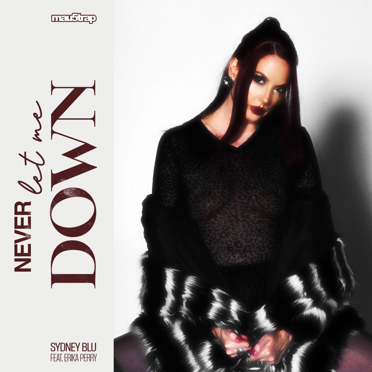 Never Let Me Down (Feat. Erika Perry)