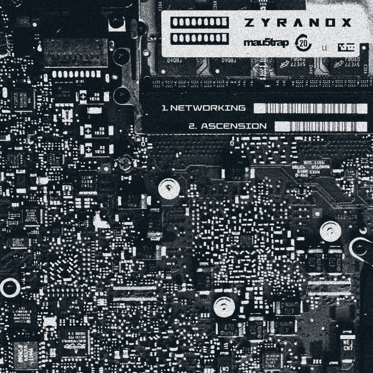 ASCENSION / NETWORKING